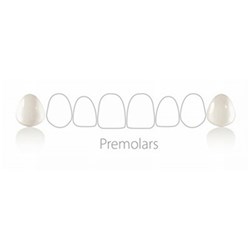 Coltene Componeer - Prefabricated Composite Shells - S Set - Upper Premolar - 14/24 - White Opal Enamel, 2-Pack
