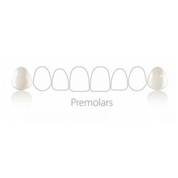 COMPONEER Set Uppr Premolar S ENAMEL White Opales Pk 2 14/24