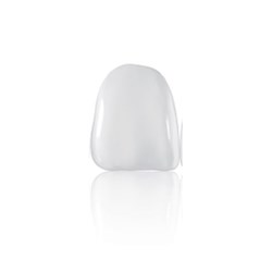 Coltene Componeer - Prefabricated Composite Shells - M - Upper - 11 - Enamel Bleach Opaque, 2-Pack
