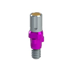Adaptor Replace NP