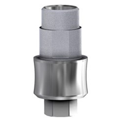 Zimm Ti Base 3.0 Eng RP