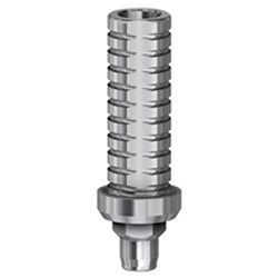 Temp Abutment Eng NP Int Hex