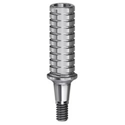 Ankylos Temp Abut NP Eng