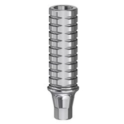 Temporary abutment eng Mini