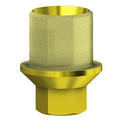 Zimmer Aurum TiBase NP Eng