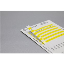 GKE Bowie Dick Indicator Strips - Refill for Purple Device, 250-Pack