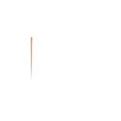 ANALYTIC Autofit GP Points Feathered Medium Large x100
