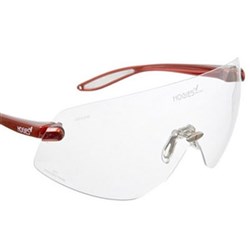 Hogies Safety Glasses - Clear #NAME?