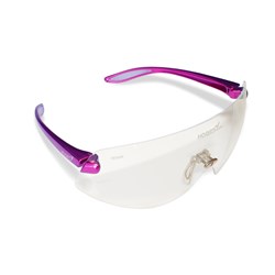 Hogies Safety Glasses - Clear #NAME?