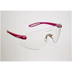 Hogies Safety Glasses - Clear #NAME?