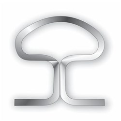 NAOL Beta Titanium Mushroom Loop, 016X022, 40mm, 5-Pack