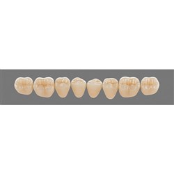 Vita Vitapan 3D, Lower, Posterior, Cuspiform, Shade 2R25, Mould 44CL