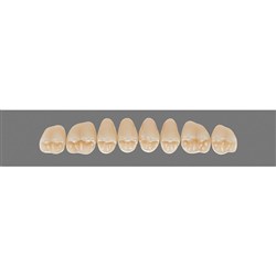 Vita Vitapan 3D, Upper, Posterior, Cuspiform, Shade 3L25, Mould 41CU