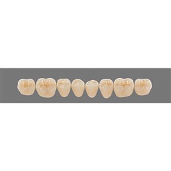 Vita Vitapan 3D, Lower, Posterior, Cuspiform, Shade 3M1, Mould 43CL