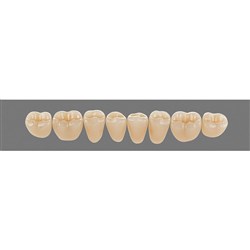 Vita Vitapan 3D, Lower, Posterior, Cuspiform, Shade 3R15, Mould 42CL