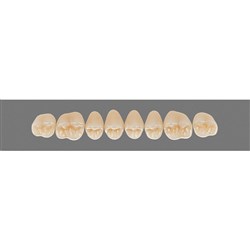 Vita Vitapan 3D, Upper, Posterior, Cuspiform, Shade 3R15, Mould 43CU