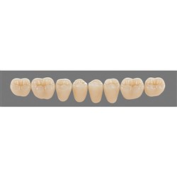 Vita Vitapan 3D, Lower, Posterior, Cuspiform, Shade 4L25, Mould 45CL