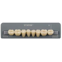Vita Vitapan Classical Lower, Posterior, Synoform, Shade A1, Mould 10S