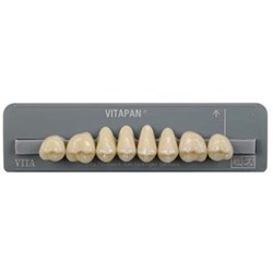 Vita Vitapan Classical Upper, Posterior, Synoform, Shade A1, Mould 10S
