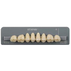 Vita Vitapan Classical Upper, Posterior, Synoform, Shade A3, Mould 10S