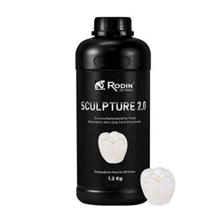 Rodin Sculpture 2.0 Shade D2 300g