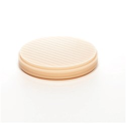 PoliDent Basic PMMA Disc - 98.5 x 20mm - Shade B1