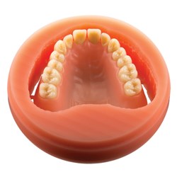 PoliDent Pink Disc - 98.5 x 30mm