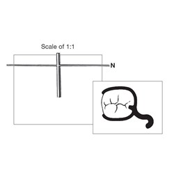 N Clasp 0.9mm with Occlusal Rest Pack of 10