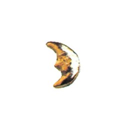 Twinkles - Tooth Jewellery - Moon - Gold 22k