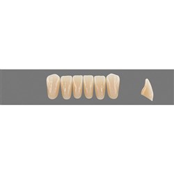 Vita Vitapan EXCELL 3D, Lower, Anterior, Shade 0M3, Mould L35