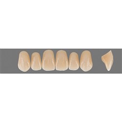 Vita Vitapan EXCELL 3D, Upper, Anterior, Shade 0M3, Mould O51