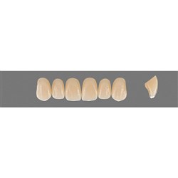 Vita Vitapan EXCELL Classical, Upper, Anterior, Shade D2, Mould O43