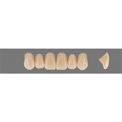 Vita Vitapan EXCELL Classical, Upper, Anterior, Shade D2, Mould T44