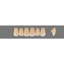 Vita Vitapan EXCELL Classical, Upper, Anterior, Shade D4, Mould T42