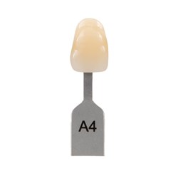 Vita Classical Shade Tab - A4