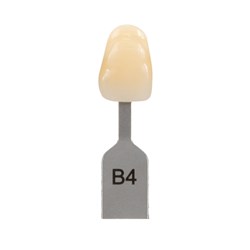 Vita Classical Shade Tab - B4
