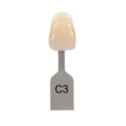 Vita Classical Shade Tab - C3