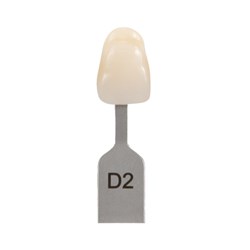 Vita Classical Shade Tab - D2