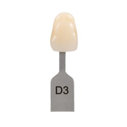 Vita Classical Shade Tab - D3