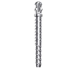 Coltene ParaPost XT Titanium Posts - Size 6 - 1.50mm - Black, 10-Pack