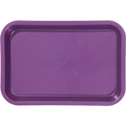 Mini Tray for Setup Plum 23.81 x 16.19 x 2.22cm