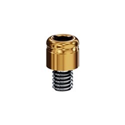 Locator Steri-Oss Internal Hex 4.0 / 2mm Height
