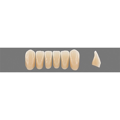 Vita Physiodens 3D Lower, Anterior, Shade 0M1, Mould L5M
