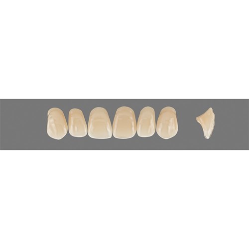 Vita Vitapan 3D, Upper, Anterior, Shade 1M1, Mould O43