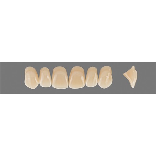 Vita Vitapan 3D, Upper, Anterior, Shade 1M1, Mould O86