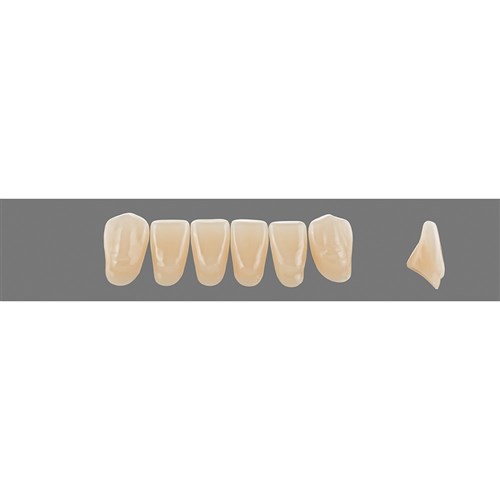 Vita Vitapan 3D, Lower, Anterior, Shade 1M1, Mould L12