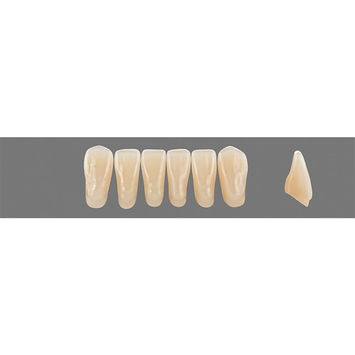 Vita Vitapan 3D, Lower, Anterior, Shade 1M1, Mould L15