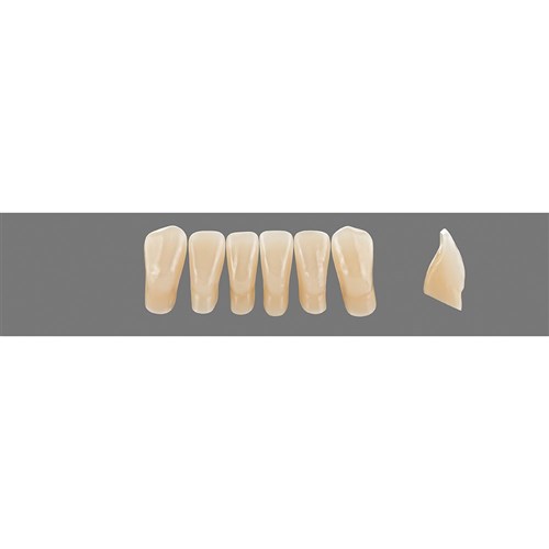 Vita Vitapan 3D, Lower, Anterior, Shade 1M1, Mould L5L