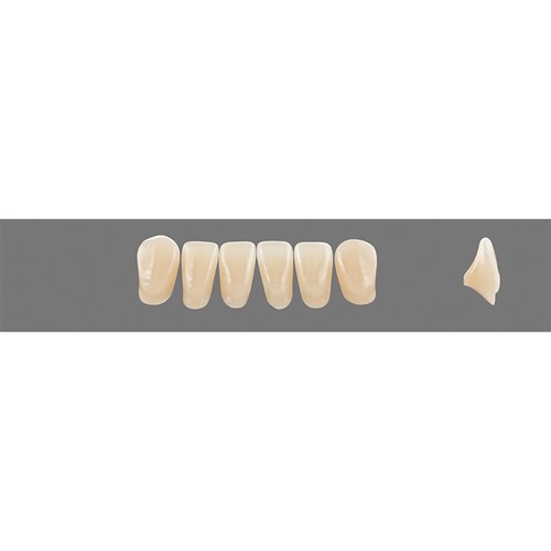 Vita Vitapan 3D, Lower, Anterior, Shade 1M1, Mould L7