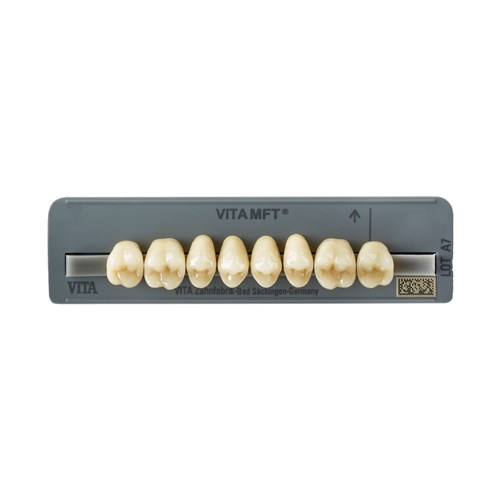 Vita MFT Upper, Posterior, Shade 0M3, Mould PU29